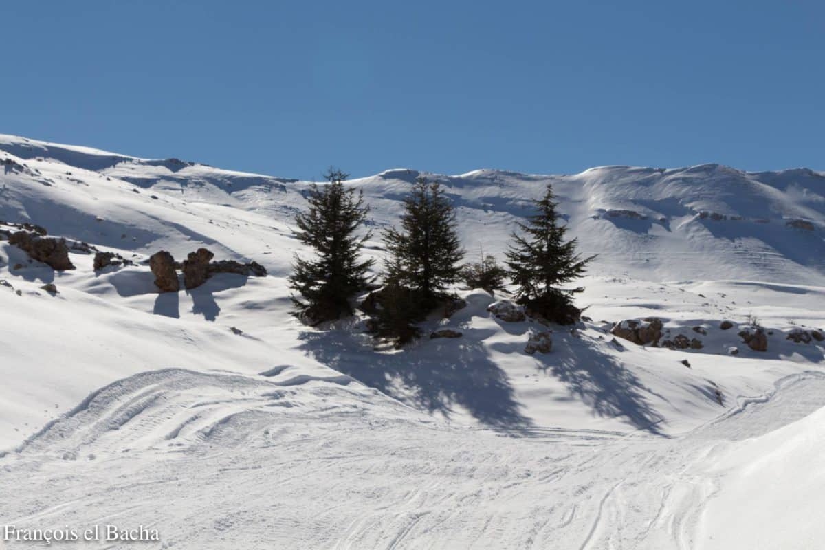 Neige de berger （ MUTUSNOW ） Costume de ski Liban
