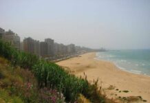 Une bouteille à la mer, pour que la dernière plage de Beyrouth reste publique