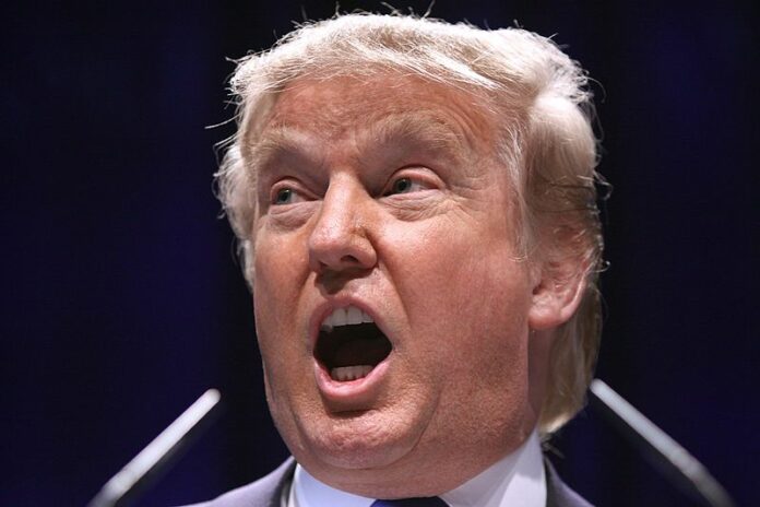 Hachem Donald Trump