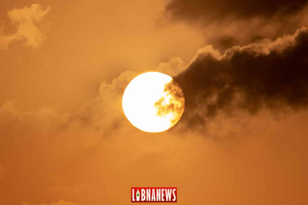Photo credit: François el Bacha, all rights reserved. Visit my blog http://larabio.com