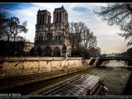 Notre Dame de Paris en 2014. Crédit Photo: François el Bacha