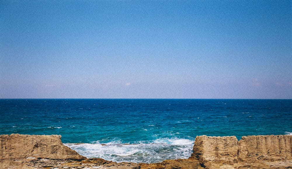 Crédit photo: François el Bacha, tous droits réservés. Visitez moCrédit photo: François el Bacha, tous droits réservés. Visitez mon blog http://larabio.comn blog http://larabio.com