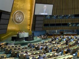 L'Assemblée Générale de l'ONU. Source ONU