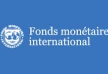 Le Logo du Fonds Monétaire International (FMI)