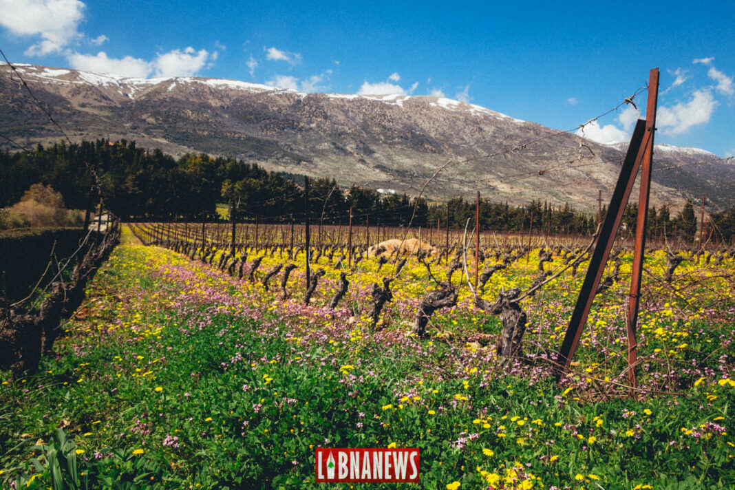 Libnanews-Kefraya-1-sur-31