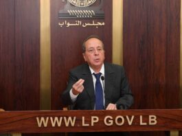 Le député Jamil Sayyed. Crédit Photo: Parlement Libanais