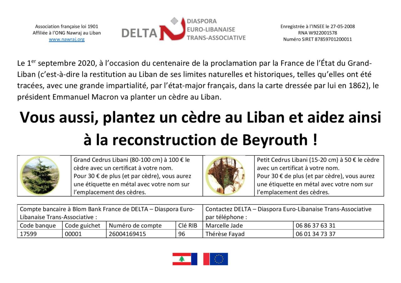 Planter un cèdre au Liban et aidez à la reconstruction de Beyrouth