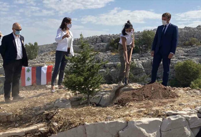 Emmanuel Macron qui plante un cèdre à Jaja, le 1er septembre 2020 à l'occasion du 100ème anniversaire du Grand Liban