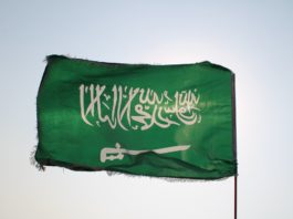 the flag of saudi arabia dancing with the wind