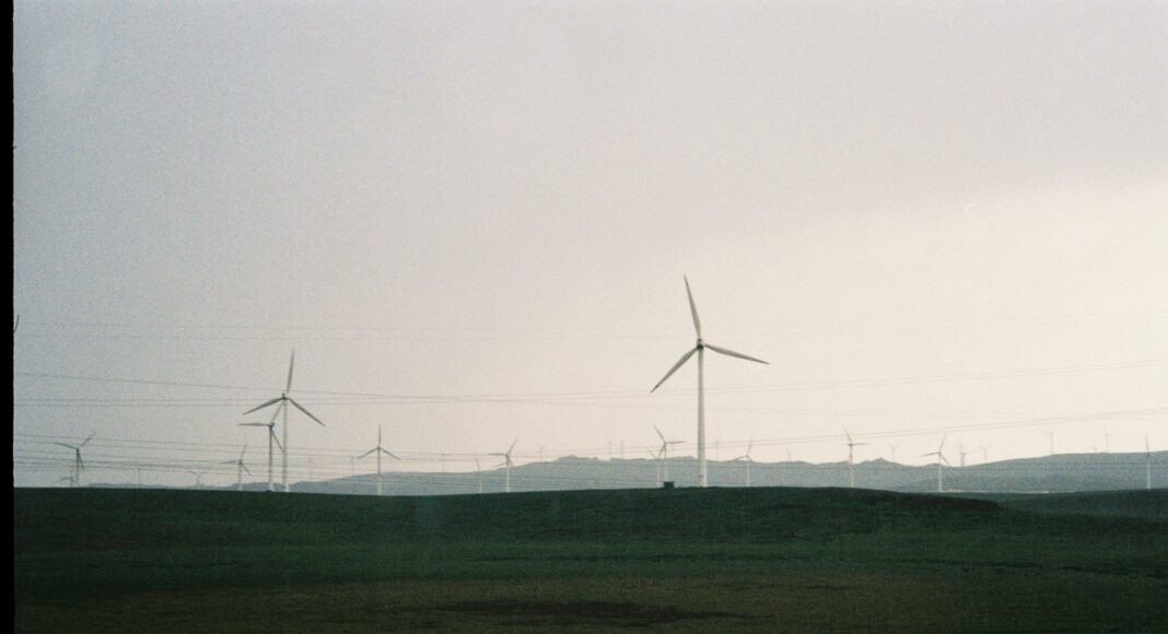 film photo of a field with wind turbines