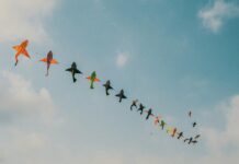 assorted color kites