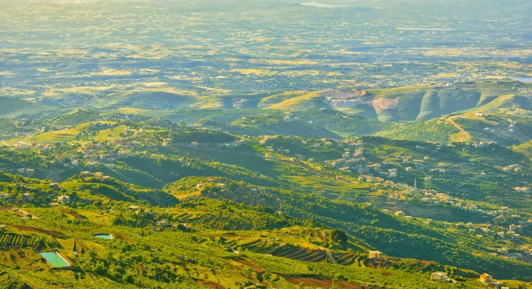 a landscape with trees and water