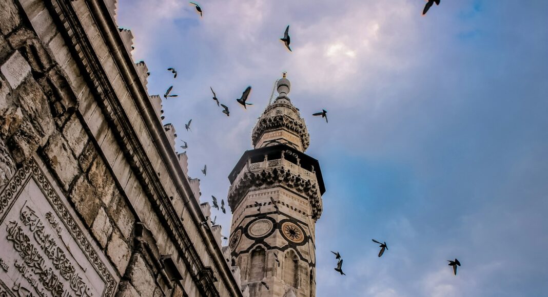 low angle photography of flock of birds flying over the building during daytime