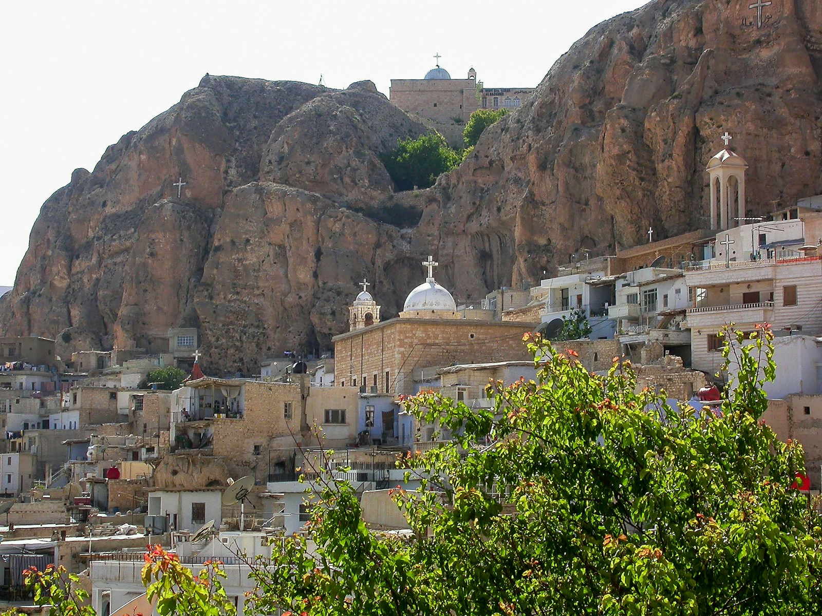 A view of a city with a mountain in the background