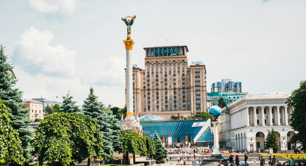 green-leafed trees during daytime