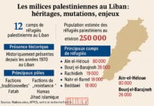 Les milices palestiniennes au Liban : héritages, mutations, enjeux