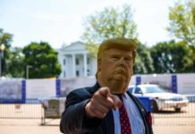 man wearing Donald Trump mask standing in front of White House