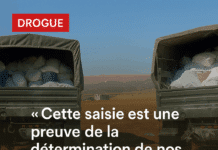 Saisie record de 64 millions de comprimés de captagon à Baalbeck : un coup dur pour le trafic de drogue au Liban