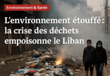 L’environnement étouffé : la crise des déchets et la pollution empoisonnent le Liban