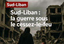 Revue de presse du 14/11/25: Pression militaire au Sud et bras de fer autour du «mécanisme»