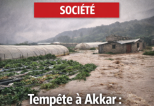 Tempête à Akkar: quand l’urgence sociale s’invite en une