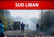 Un drone israélien cible une voiture sur la route Zahrani-Msayleh au sud du Liban