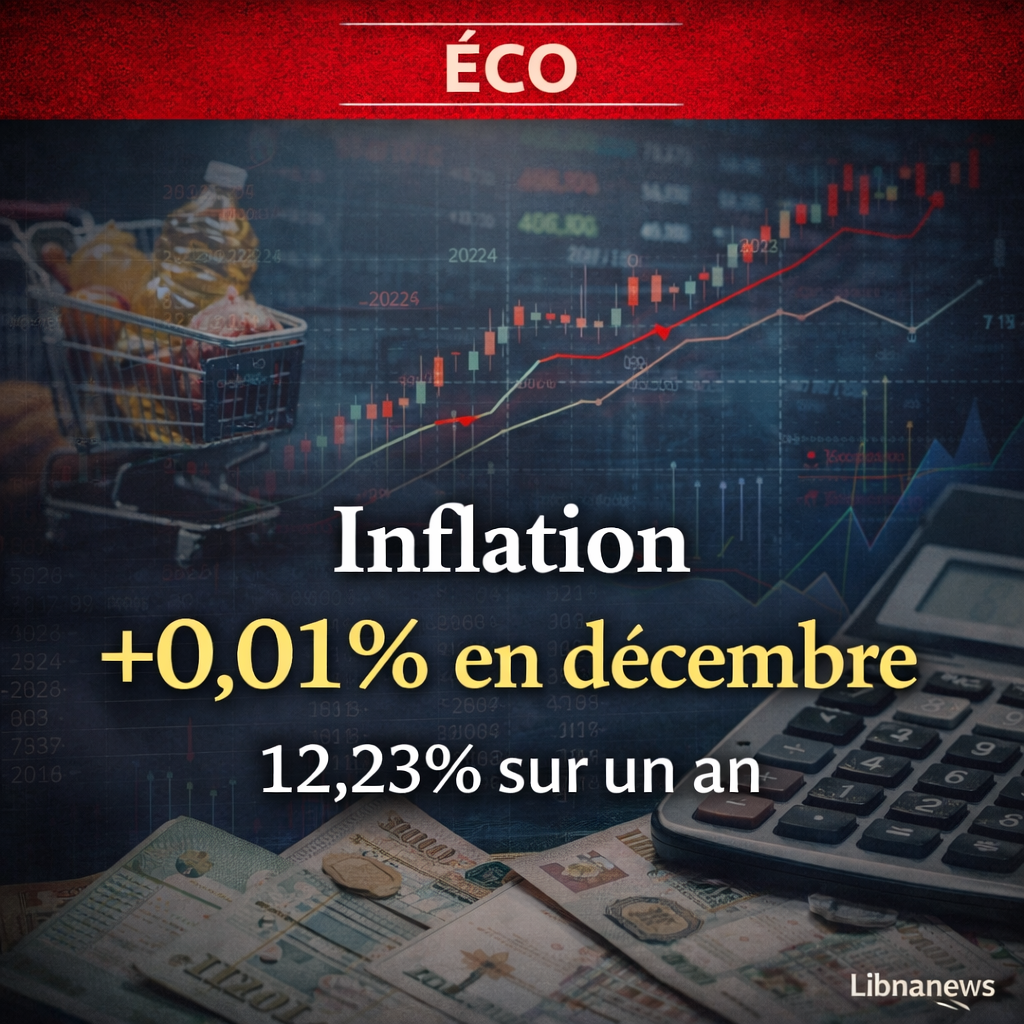 L’indice des prix à la consommation au Liban en décembre 2025 : une hausse mensuelle de 0,01 % et un taux d’inflation annuel à 12,23 %