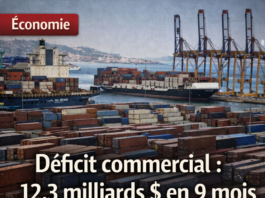 Liban : Le déficit commercial s’élargit à 12,3 milliards de dollars sur les neuf premiers mois de 2025, selon les dernières statistiques douanières